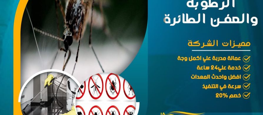 كيف تتخلص من حشرات الرطوبة والعفن الطائرة