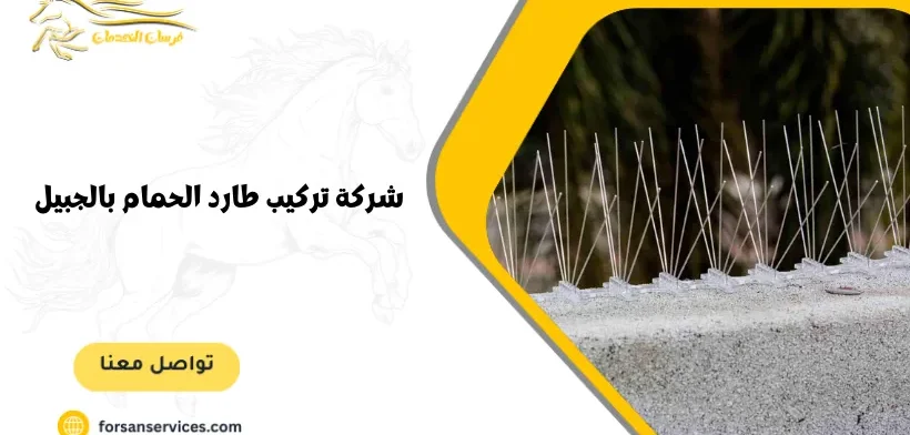 شركة تركيب طارد الحمام بالجبيل