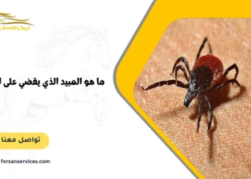 ما هو المبيد الذي يقضي على القراد؟