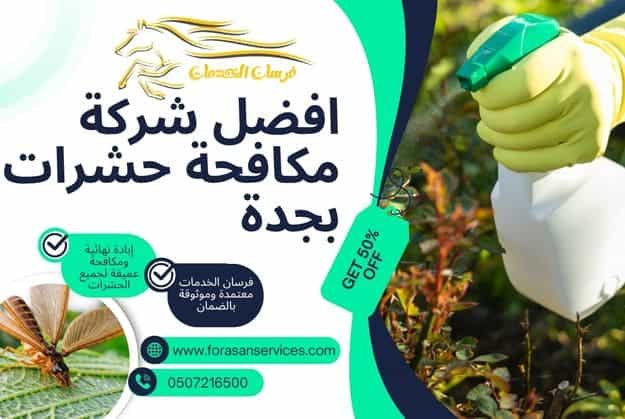 افضل شركة مكافحة حشرات بجدة
