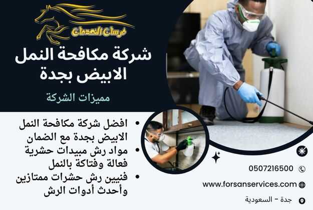 شركة مكافحة النمل الابيض بجدة