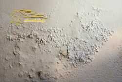 أسعار أفضل شركة معالجة الرطوبة بجده