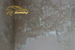 شركة معالجة رطوبة الجدران بجدة