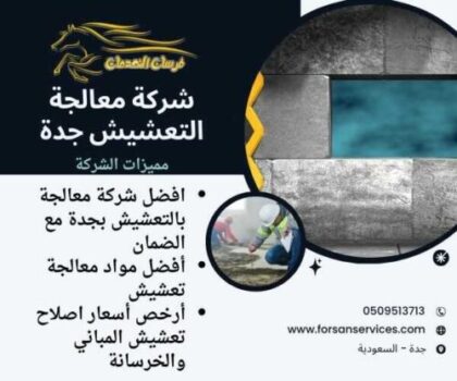 شركة معالجة التعشيش جدة