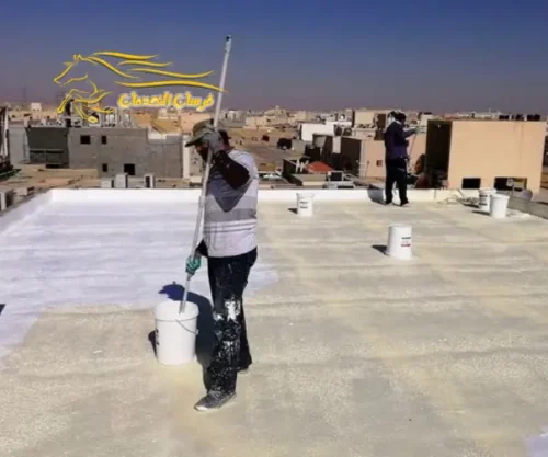 أرخص طرق عزل الأسطح من الماء والحرارة أرخص طرق عزل الأسطح من الماء والحرارة